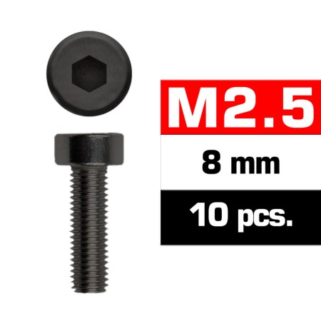 Tornillos M2,5x8mm cilindrico 10 unidades