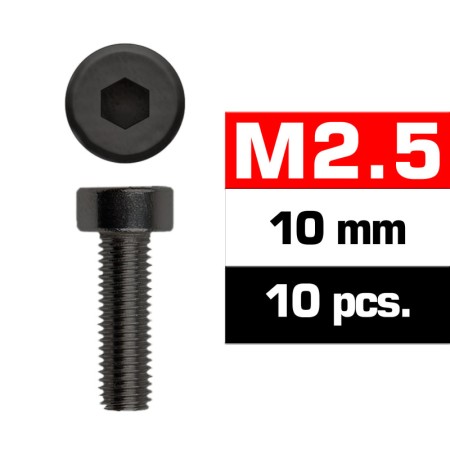 Tornillos M2,5x10mm cilindrico 10 unidades