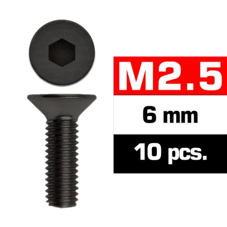 TORNILLOS M2,5x6mm AVELLANADO (10u.)