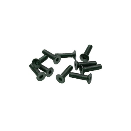 TORNILLOS M3x10mm AVELLANADO (10u.)